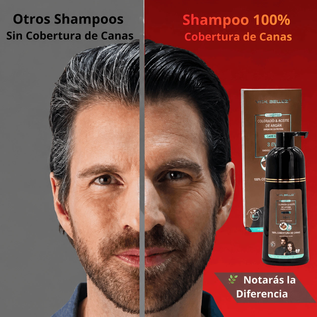 Shampoo Pinta Canas Max Belle® 2 en 1 | Lava y Tiñe